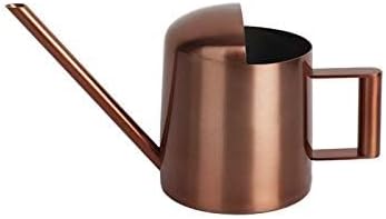 Mini Watering Can, 10oz/300ml Stainless Steel Long Spout Small Watering Can for Indoor Plants Succulents, Herbs (Bronze)