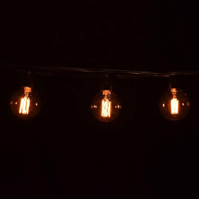 Hometown Evolution, Inc. Commercial Edison Bulb Outdoor String Lights with Hand-Threaded Filament (G60 Lantern Edison - Commercial Black Wire, 25 ft)