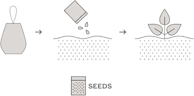 Modern Sprout Seed Salutations - Garden Seed Packet Gift Tag/Ornament - Non-GMO Lavender Seeds for Planting Indoor & Outdoor- Unique Gardening Gifts for baby shower, birthdays-12 Pack(Wellness Wishes)