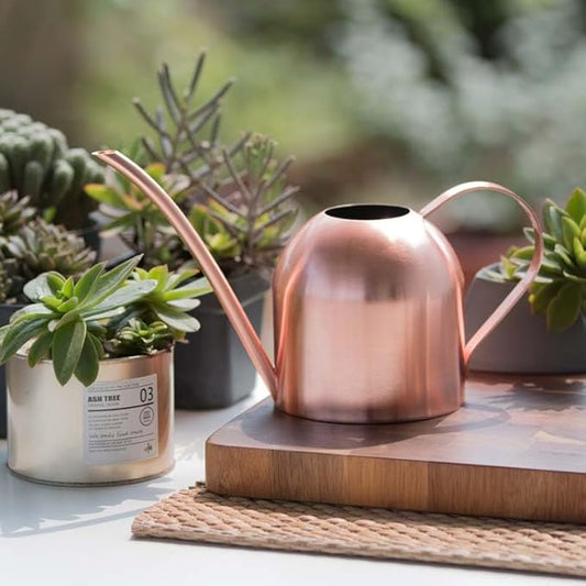 Stainless Steel Water Can for Indoor Plants and Garden (Rose Gold 50 oz)