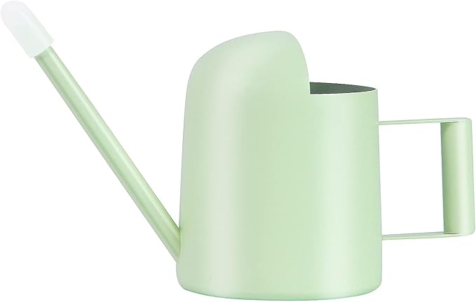 Mini Watering Can, 10oz/300ml Stainless Steel Long Spout Small Watering Can for Indoor Plants Succulents, Herbs (Green)
