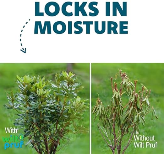 Wilt-Pruf® Transplant Support Spray | Reduces Transplant Shock and Moisture Loss | Organic Plant Protector (32 oz)