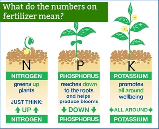 Premium 24-8-16 All Purpose Water Solubable Fertilizer for All Plants by Gardenera - Ideal for Flowers, Plants, Vegetables, Trees, Shrubs, Lawns and Houseplants - 1 Quart