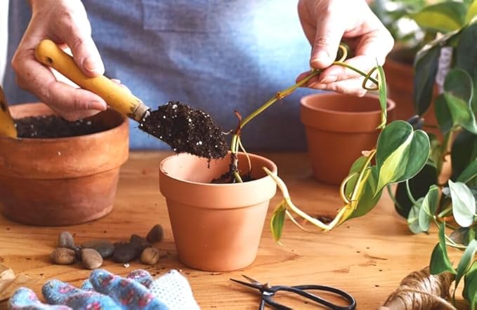 Gardenera Premium Happy Plant Potting Soil Mix - Optimal Nutrient-Rich Blend for Thriving and HIGH-Yield Herbal Plants - 5 Quart