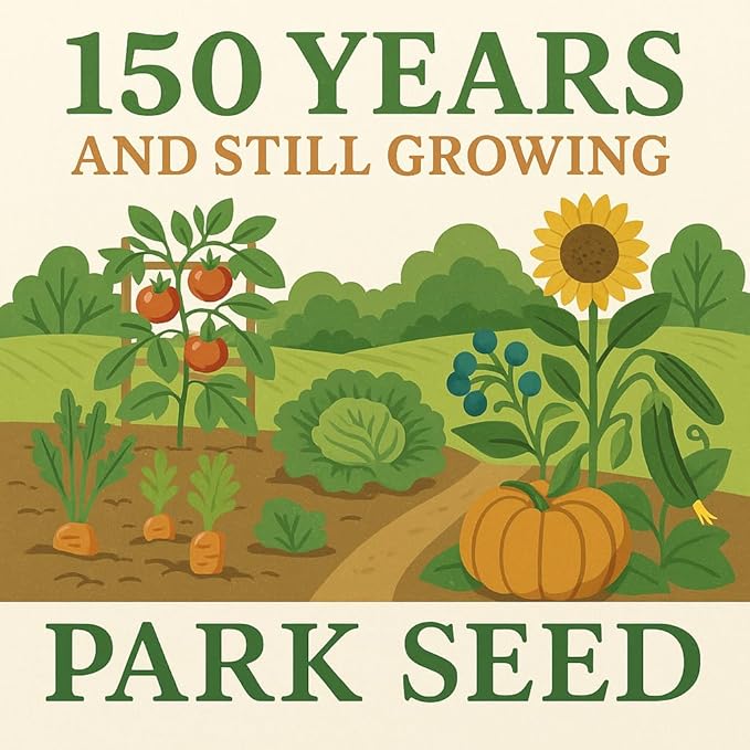 Park Seed Variety of Tomato Seeds, Planting Vegetables, Easy to Grow, Non-GMO, Perfect for Harvesting, Big Beef Hybrid, Pack of 30