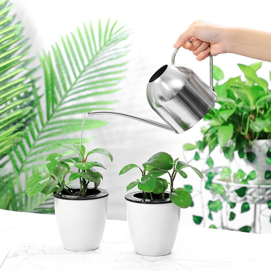 HANABASS Watering can with Long Spout, Stainless Steel Watering Cans for Indoor Seedling Flower Bonsai Plants (33.8oz)