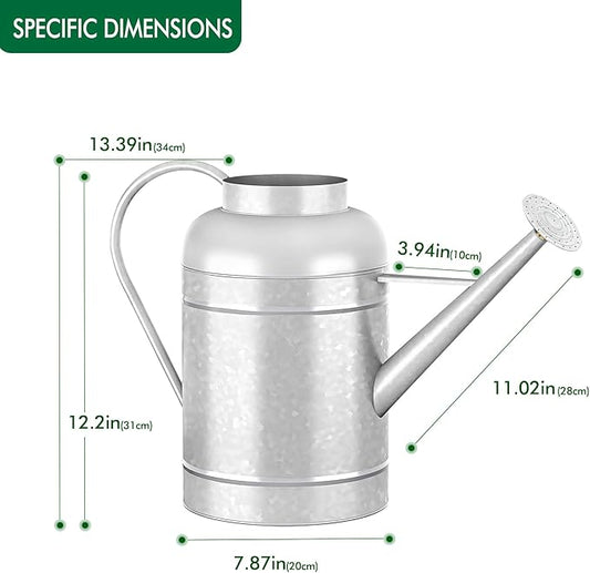2.3 Gallon Metal Watering Can, Galvanized Watering Can for Outdoor Indoor Plants, Large Water Can for Plants and Garden Flower