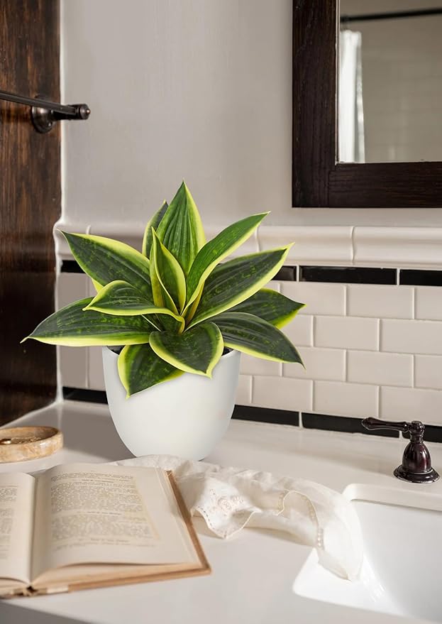 Hollyone Artificial Snake Plants 9" Faux Agave Succulent Plant Potted in White Pot Fake Sansevieria Aloe Tropical Plant for Desk Modern Office Home Bathroom Indoor Outdoor Decor