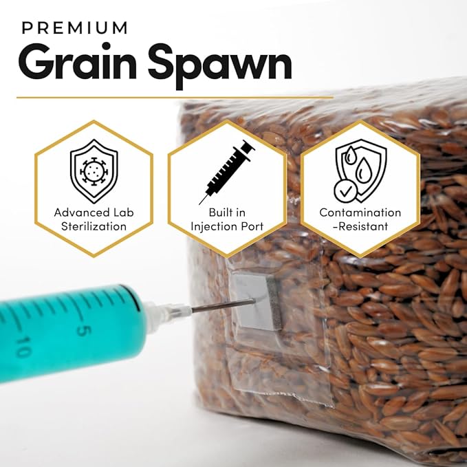Mycelium 3 lb Whole Oats Grain Spawn for Mushroom Cultivation | Sterilized Nutrient-Rich Bag with Self-Healing Injection Port – Ideal for Rapid Mycelium Colonization | Ready to Inoculate | Made in USA