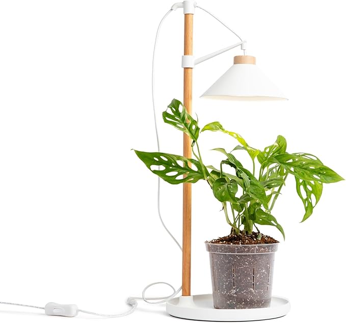 rePotme All Purpose Potting Soil for Indoor and Outdoor Plants, Organic and Made in The USA, Houseplant and Tropical Classic Potting Mix (Junior Bag, 4 Quarts)