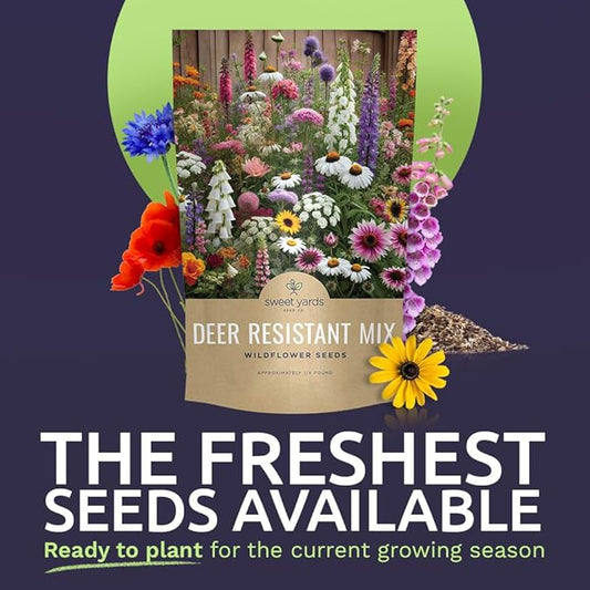 Deer Resistant Wildflower Seed Mixture - Bulk 1/4 Pound Bag - Over 60,000 Deer Tolerant Seeds - Open Pollinated and Non GMO
