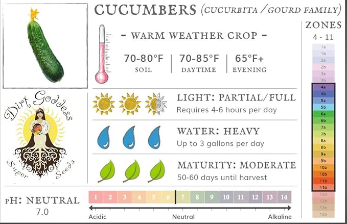 Bulk Organic Boston Pickling Cucumber Seeds Non GMO (25 Lbs)