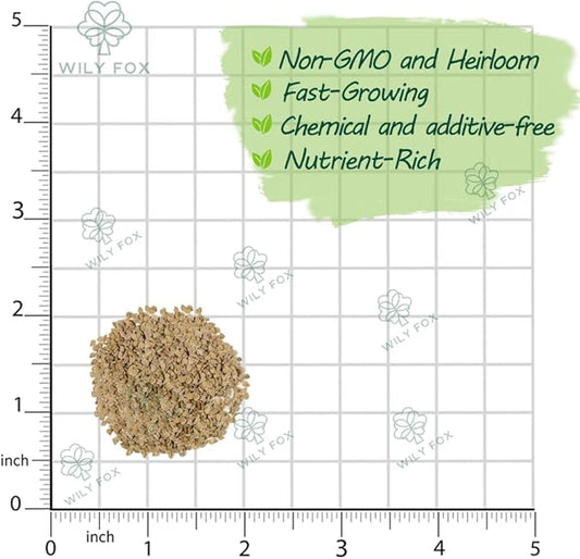 Premium Big Tomato Seeds – 300 Heirloom Non-GMO Seeds for Planting - Juicy, Large Red Tomatoes - Ideal for Home Garden, Outdoor, Patio, Containers, Vegetables, Fresh Tomato Gardening