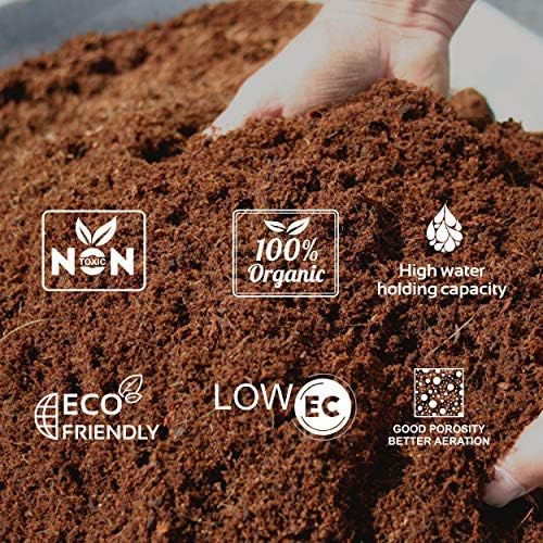 Pack of 10 Organic Coco Coir Bricks - 100% Natural Compressed Coco Peat Brick Coconut Fiber Substrate, Plant Soil Enhance Root Growth for Herbs, Flowers, House Plants