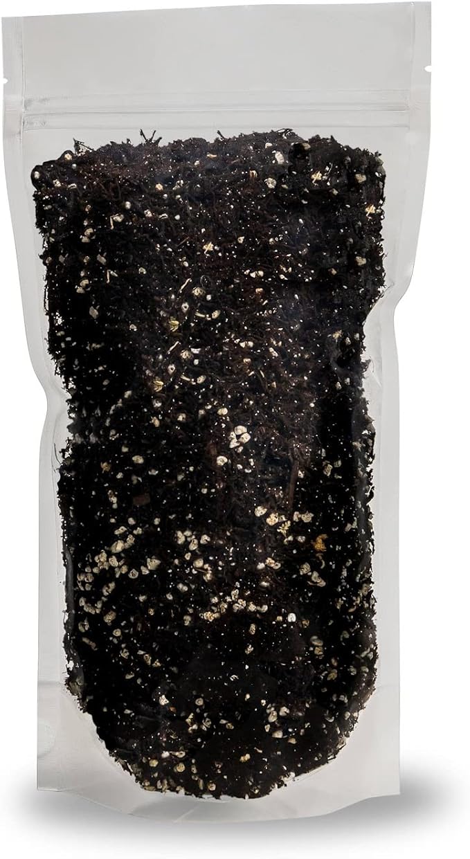 Premium Aglaonema Plant Soil Mix by Gardenera - Stimulate Growth and Elevate Leaf Color with Nourishing Formula - 5 Quart