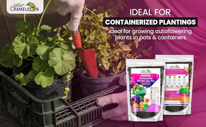 Organic Autoflower Potting Soil Mix β Ready-to-Use Living Soil, No Fertilizers Needed β Balanced Nutrients, Light Texture, Excellent Drainage, Boosts Germination & Root Growth (3 quarts)