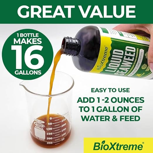 Liquid Seaweed Premium Concentrate - All Natural Kelp Fertilizer - Enhances Plant & Flower Growth + Seed Germination & Root Development - 16 Oz