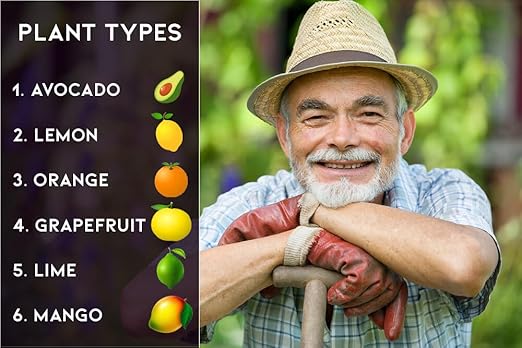 ππππππππππ 6-4-6 Avocado Citrus Tree Plant Food for Outdoor/Indoor Gardening | Quick-Release Nitrogen Fertilizer | Orange, Lime, Avocado and Lemon Tree Fertilizer (4 Quarts)