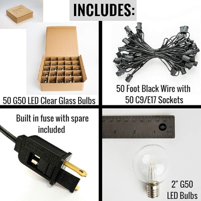 Hometown Evolution, Inc. 50 Foot LED G50 Globe String Lights (Black Wire) with LED 2 Inch 0.6 Watt Bulbs
