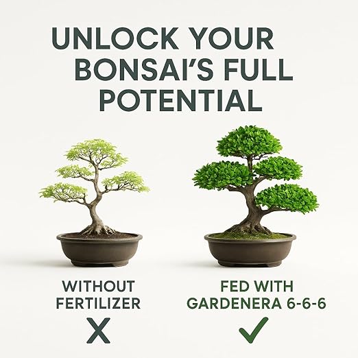 ππππππππππ Bonsai Fertilizer Pellets β Slow-Release Bonsai Tree Fertilizer & Food for Compact Growth, Dense Branching & Healthy Roots | Ideal for All Bonsai & Money Trees - 3 QUARTS