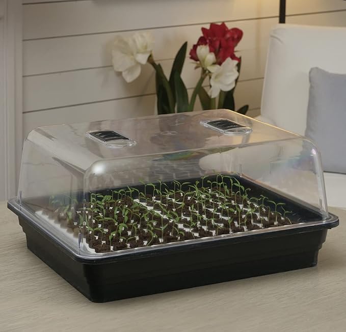 Park Seed Double-Sized Bio Dome Seed Starter Kit with Two 60 Cell Planting Blocks, Base Tray, Humidity Dome & 120 Bio Sponges
