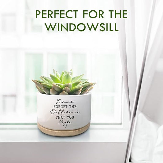 Coworker Thank You Gifts, Funny Succulent Plant Pot, Flower Cactus Planter Gifts, Farewell Going Away Appreciation Inspirational Gifts for Women Men Boss Lady Manager Coworkers (No Plants)