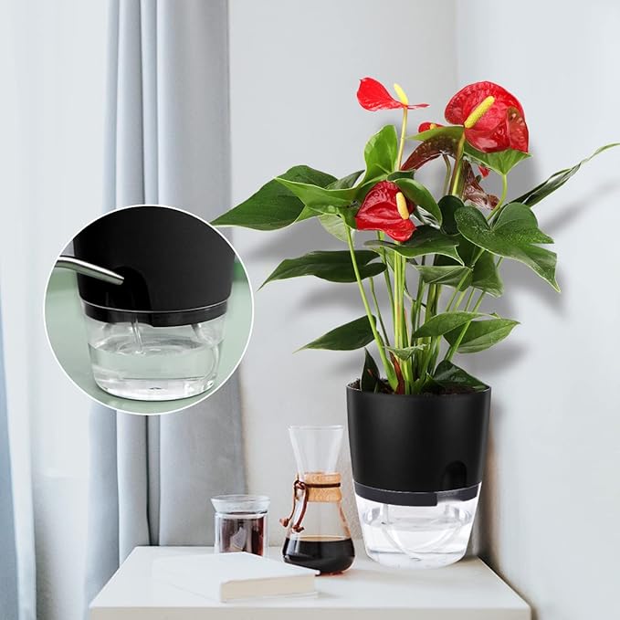 Vanavazon 6 Inch Self Watering Planter Pots for Indoor Plants, 3 Pack African Violet Pots with Wick Rope-Black