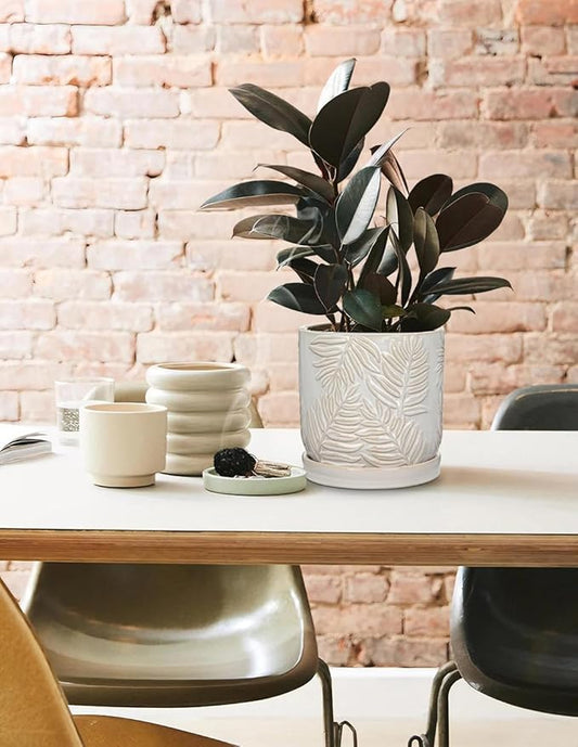 5.5 Inch Ceramic Planter Pots with Drainage Holes, Saucers for Indoor-Outdoor Plants, Succulent Orchid Flower Large Round Plant Pot Lvory White