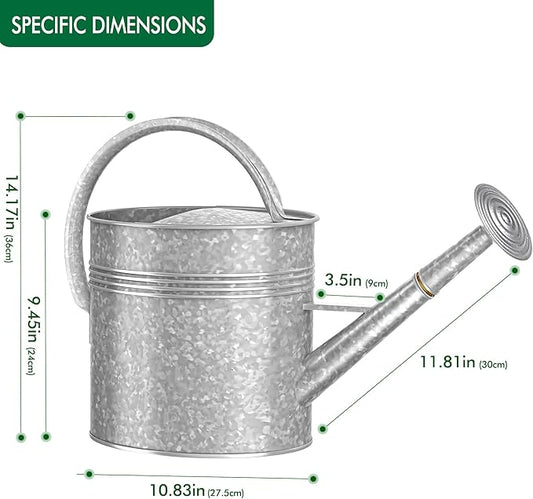2.5 Gallon Ellipse Decorative Countryside Style Water Can with Removable Spout, Galvanized Watering Can for Outdoor Indoor Plants, Metal Watering Can for Indoor Plants and Garden Flower