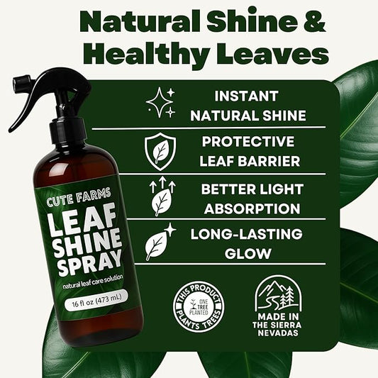 Leaf Shine Spray (16 FL OZ) for Indoor & Outdoor Plants - Natural Plant Leaf Spray with Neem Oil + Essential Oil - Ready to Use Formula - Makes Leaves Shiny, Vibrant & Healthy - Cute Farms