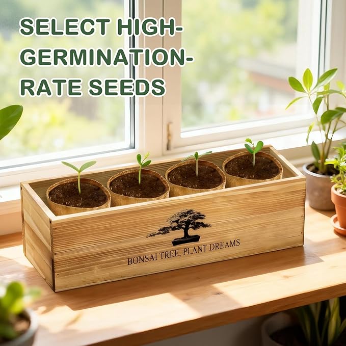 Bonsai Tree Kit, Complete Bonzai Tree Starter Kits with Tools, Unique Christmas Birthday DIY Gardening Gifts for Women Mom Men Grandkids, Crafts Hobby Kits, Grow Bonsai Tree Live Indoor