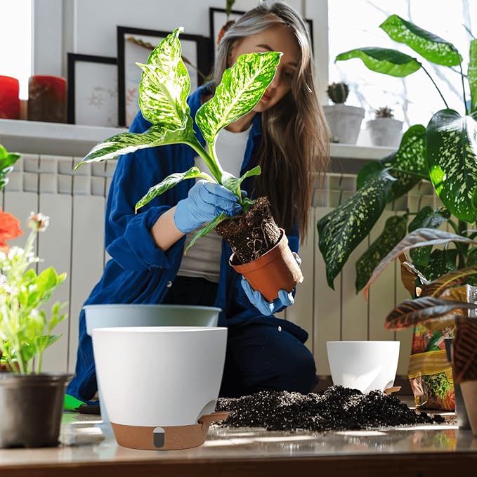 montresor 12/10/8 Inch Self Watering Pots for Indoor Plants Plastic Large Pot for Outdoor Plants, Water Level Window & Spacious Reservoir Flower Pots Decorative Planter with Drainage and Tray (White)