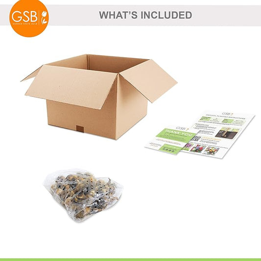 Garden State Bulb Double Mixed Daffodil Flower Bulbs, 14/16cm, Fall Planting (Bag of 25)