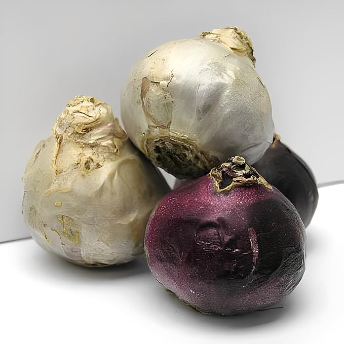 Hyacinth Mixed Bulbs - Perennial and Fragrant, Mix Hyacinths Bulbs for Planting | Long Lasting Beauty - Stunning Garden Display (10 Pack)