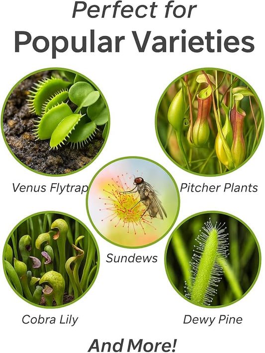 GARDENERA Sphagnum Moss Potting Mix for Carnivorous Plants, Moss and Perlite Blend for Potting Venus Fly Traps, Sarracenia, Pitcher Plants - 75% Sphagnum Moss + 25% Perlite - Made in USA - 4 Quart