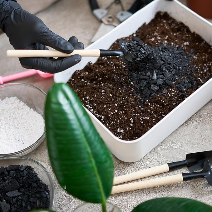 Horticultural Charcoal 2qt for Plants, Actived Charcoal Terrarium Supplies, Suitable for Indoor Plants, Succulent, Orchid, Cactus, Bonsai