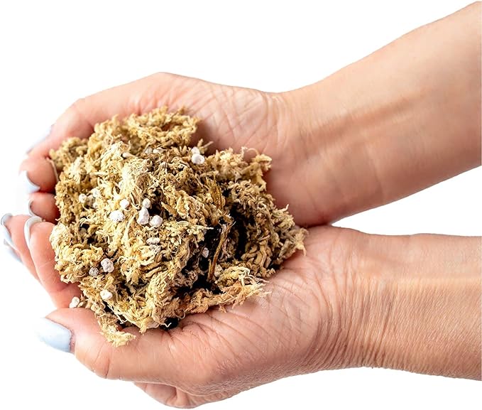 Gardenera Sphagnum Moss Potting Mix for Carnivorous Plants, Moss and Perlite Blend for Potting Venus Fly Traps, Sarracenia, Pitcher Plants - 75% Sphagnum Moss + 25% Perlite - Made in USA - 1 Quart