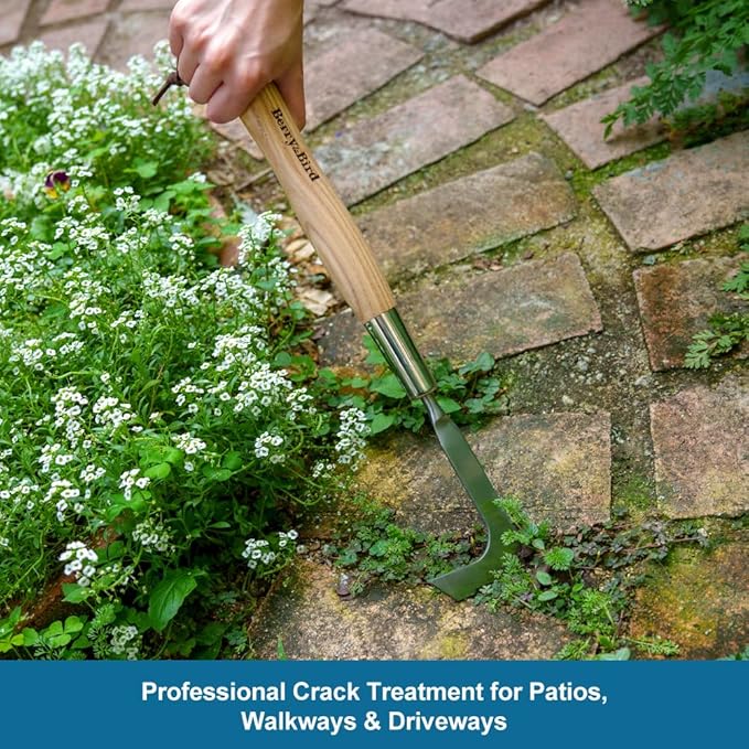 Berry&Bird 15.2'' Crack Weeder Crevice Weeding Tool with Ashwood Handle, Manual Weed Puller for Sidewalk, Driveway Cracks & Garden Edging, Weeding Sickle for Garden Patio Lawn Yard Terrace Paving Moss