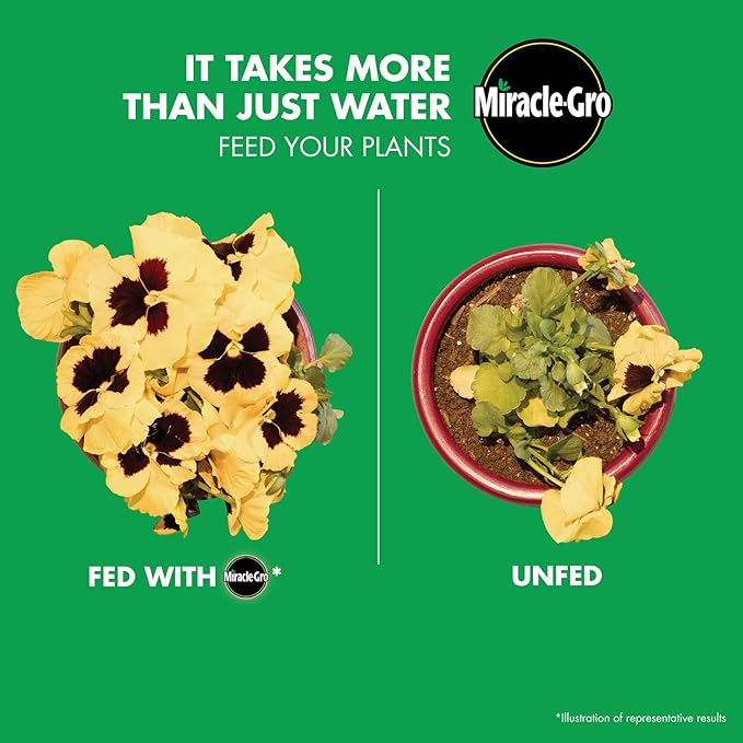 Miracle-Gro All Purpose Plant Food Plant Fertilizer (6 Pack), 3 lb