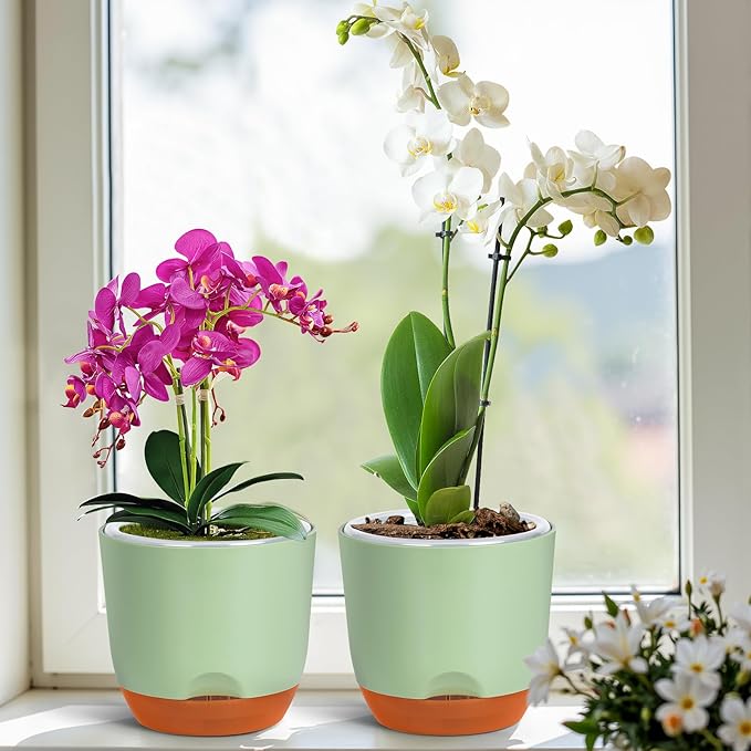 QCQHDU 2 Pack 5.7 Inch Orchid Pots with Holes for Repotting, Double-Layer and Self Watering Orchid Pot with Good Air Circulation