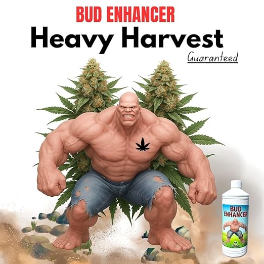 Bud Enhancer - Hydroponic Flower Booster - Flower Enhancer - Increase Bud Size and Quantity - Blooming Fertilizer - Hydroponic Blooming Fertilizer - Bud Booster - Flower Promoter.