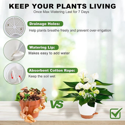 Plant Pots for Indoor Plants 5 Pack Self Watering Planters, 7/6.5/6/5.5/5 Inch Self Watering Pots with Drainage Hole Plastic Flower Pot for Herbs, Succulents, African Violet (White)
