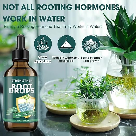 Root Drops – IBA Rooting Hormone for Cuttings | Fast Root Growth in Water, Soil, Moss, LECA | for Houseplants Like Pothos & Monstera (4.06 oz)