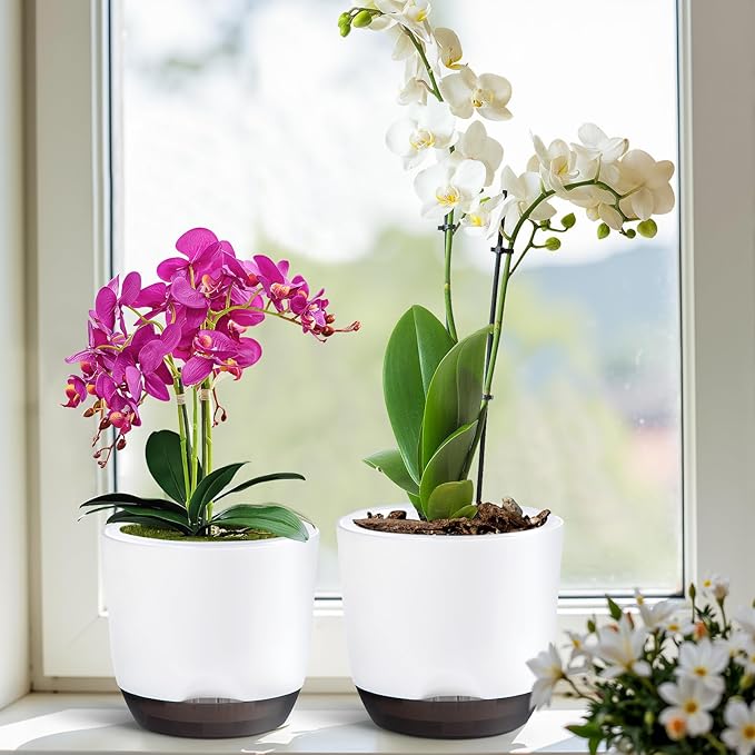 QCQHDU 2 Pack 5.7 Inch Orchid Pots with Holes for Repotting, Double-Layer and Self Watering Orchid Pot with Good Air Circulation