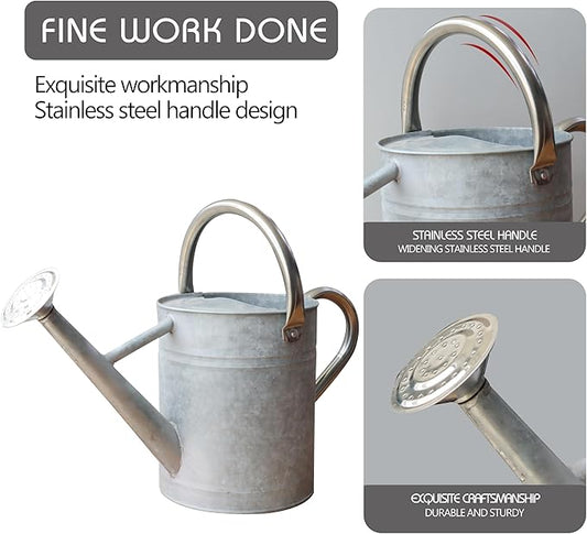 Metal Watering Can for Outdoor and Indoor Plants, Watering Can Decor, 1 Gallon (Zinc Stainless Steel Handle)