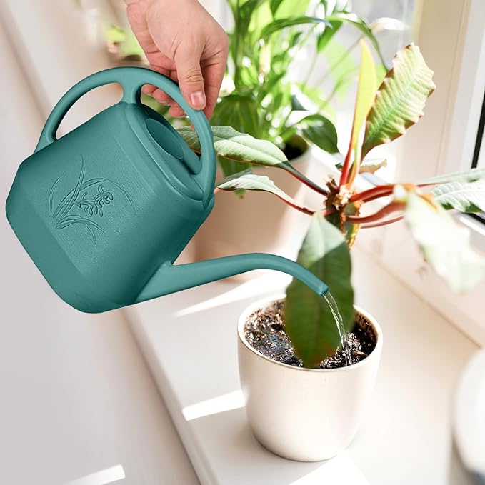 Watering Can - for Home Plant Garden - 1 Gallon - Green