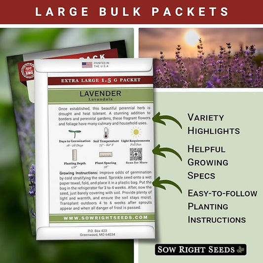 Sow Right Seeds - Bulk Lavender Seeds for Planting - 1.5 Grams, 1500 Seeds - Non-GMO Heirloom Jumbo Pack with Instructions to Grow an Indoor or Outdoor Herb Garden - Grow Loads of Purple Blooms