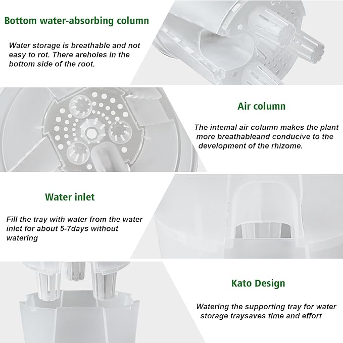 Cdd's Path Large Self Watering Pots Set with Holes for Indoor/Outdoor Plants,Planter Pot with Watering Hole/Reservior and Air Pipes (Clear, 8 inch-5 Pack)