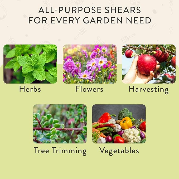 Modern Sprout Pruning Shears - Herb Snipping Scissors- Lightweight Gardening Tools W/Easy Lock - Flower Cutter Garden Shears - Carbon Steel Blade + Reusable Holster (Chartreuse, 1-Pack)