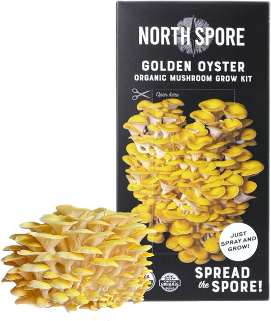 North Spore Organic Golden Oyster Mushroom Spray & Grow Kit (4 lbs) | USDA-Certified Organic, Non-GMO, Beginner-Friendly & Easy to Use | Handmade in Maine, USA
